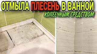 Как убрать плесень со стен в ванной простой способ хозяйкам на заметку