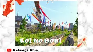 KOI NO BORI (鯉のぼり) “Perayaan Hari Anak” di Jepang 🎏