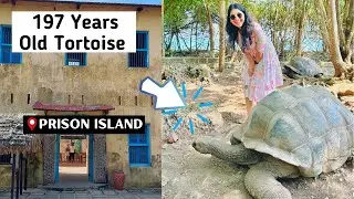 Prison Like 'Andaman Nicobar' In Africa | We Found Indian Kachori In This Africa Island 