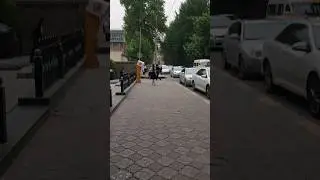 Шамоли ачина
