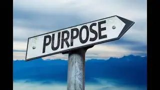 Purpose - What this word means to me