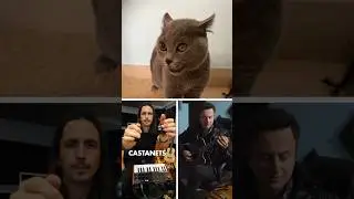 Cat makes EPIC Spanish song! 💃🏻