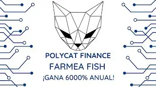 POLYCAT FINANCE 🚀 | COMO GANAR 6000% ANUAL | PASO A PASO