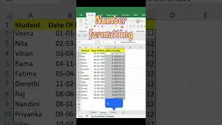 Number Formatting Secrets EXPOSED! #excel #exceltutorial #msexcel #developer #exceltips