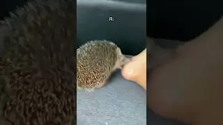 У кого жиза?🤣 