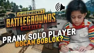 BOCAH MABOK SOFTEX  - PUBG MOBILE INDONESIA