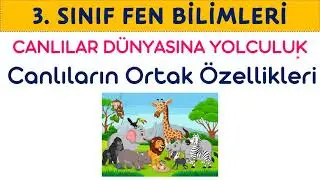 Canlıların Ortak Özellikleri 3. Sınıf Fen Bilimleri