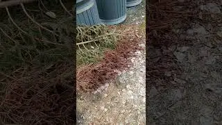 закончились праздники.