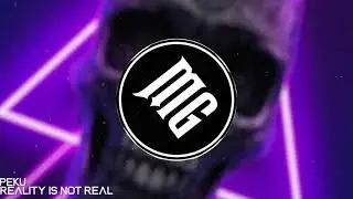 Peku - Reality Is Not Real