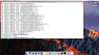 the rm command on linux to permanently remove files