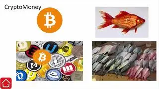 Blockchain Wallets Explained