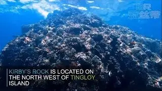 Kirby's Rock - Anilao Dive Resort Site by Blue Ribbon Dive Resort