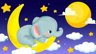 Super Soft Bedtime Sleep Music - Lullaby Mozart for Babies Brain Development - Baby Sleep Music