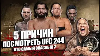 5 опасных причин посмотреть UFC 244! Хорхе Масвидал, Нейт Диаз, Кевин Ли, Гиллеспи, Тилл, Гастелум.