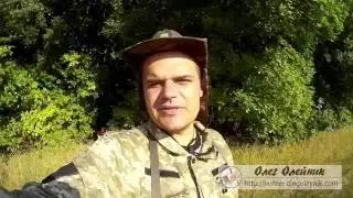 Охота на вяхиря  Открытие охоты третий день
