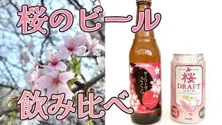 桜が開花！いつもの桜のビールを2本ご紹介