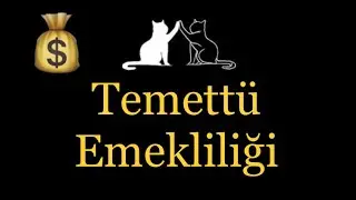 Temettü Emekliliği | Borsada Sabırla Yatırım Sizi Hem Zengin Eder Hem Emekli Eder!!