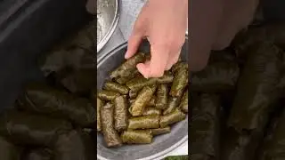 Долма из виноградных листьев