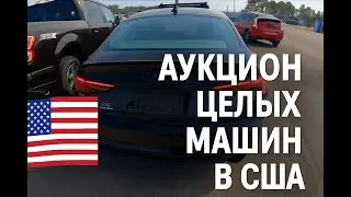 Аукцион автомобилей в США - Что купить на перепродажу?