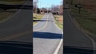 LC racing speed test