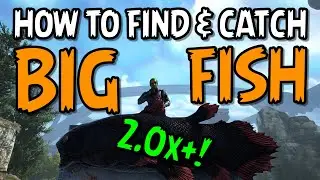 How to find and catch BIG FISH! - ARK: Survival Evolved | 2021 | PC | PS4 | XBOX 
