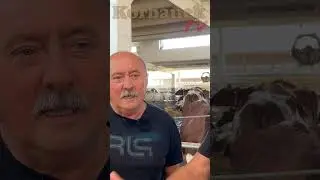 OHZ Głogówek