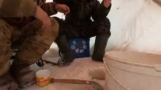 Ловим налимов на чороох! 4k! Fishing on BURBOT! 03/01/2024
