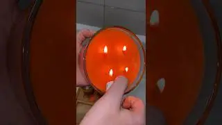ORANGE is my favorite color🍊