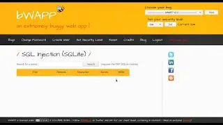SQL Injection SQLite Low Security Level