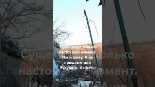 #доброволецz