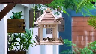 DIY Simple Wooden Bird Feeder For Your Backyard Ideas