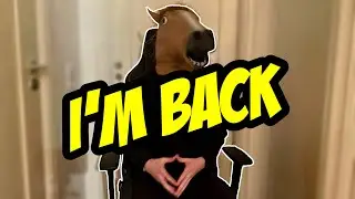 I'M BACK (microphone included)