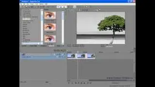 Sony Vegas Урок 49.Практика частичное обесцвечивание видео