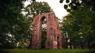Greifswald - Klosterruine Eldena im Morgengrauen