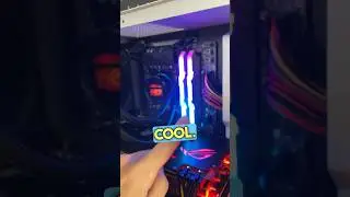 •Overclocked RAM with no XMP• Kingdian DDR4 Memory 