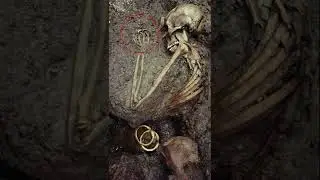 Эта фотография обошла весь мир. В 1982 году при раскопках ... 