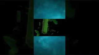 Ayaklarımız Neden Kokar?