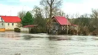 💥SOS💥Брянск. Эффективные Сити-менеджеры допускают уничтожение ул. Н-Заречная. 