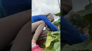 Жара ушла в отпуск 😁