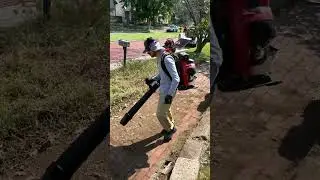 I stumbled upon this BURIED brick pathway and SCRAPED it clean