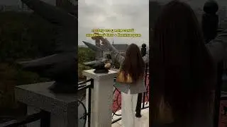 Как вам вид? #калининград #синагога #рыбнаядеревня #островканта #кафедральныйсобор #traveling