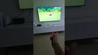 Catching a Pikachu!