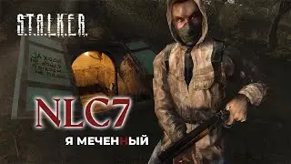 S.T.A.L.K.E.R. NLC7 - Я Меченый #1 Голышом по зоне