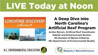 Lunchtime Discovery: A Deep Dive into North Carolina's Artificial Reef Program