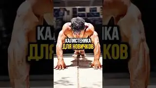 Калистеника для новичков? 🏠💪