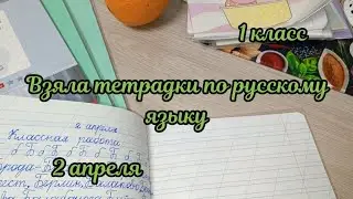 Взяла тетрадки для проверки по русскому языку