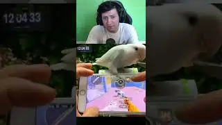 🤣Попугай в Pubg Mobile...