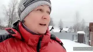 ВСЁ-ТАКИ РИСКНУЛИ... и ВЫПУСТИЛИ КОРОВ ГУЛЯТЬ😊