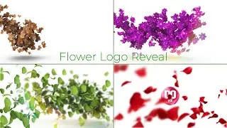 Flower Logo Reveal - Videohive After Effect Template