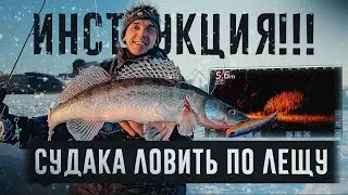 СУДАКА В ГОРОДЕ ЛОВИТЬ СТРОГО ПО ЛЕЩУ! Первая поимка сезона